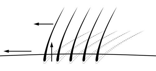 Как натянуть кожу во время бритья