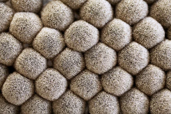 Сменные кисти для помазков