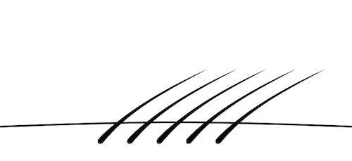 Направление роста волос