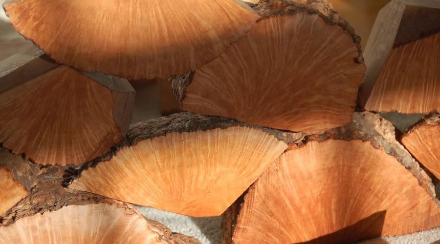 Древесина бриара